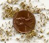 machining material and penny